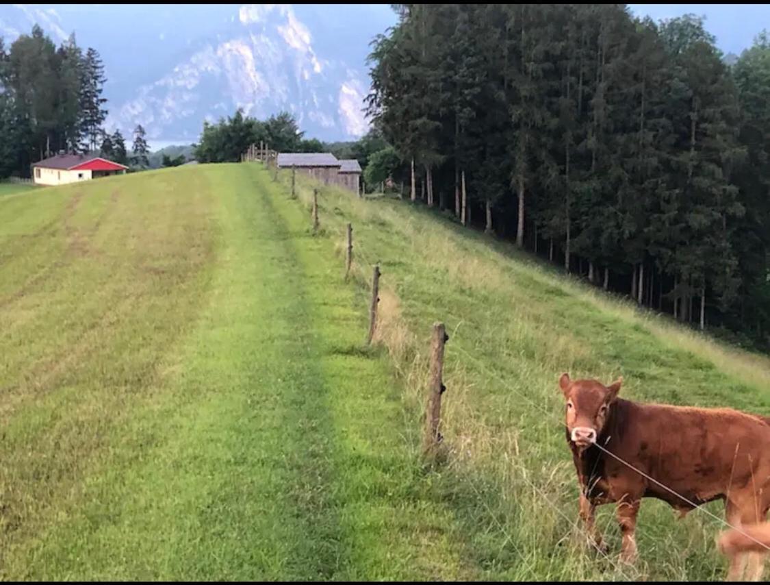 Ferienhaus Am Traunsee Mit Bergsicht Traunkirchen Exterior foto